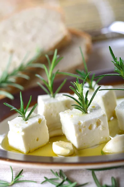 Caprini - queijo de cabra — Fotografia de Stock