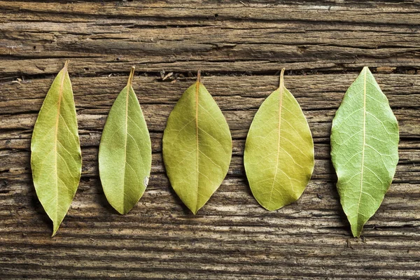 Five laurel leaves on the old board — Stock Photo, Image