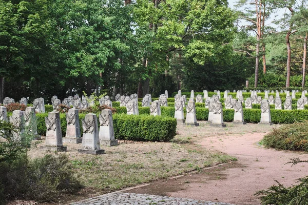 Augusti 2022 Dresden Tyskland Sovjetiska Garnisonskyrkogården Världskrigets Kyrkogård — Stockfoto