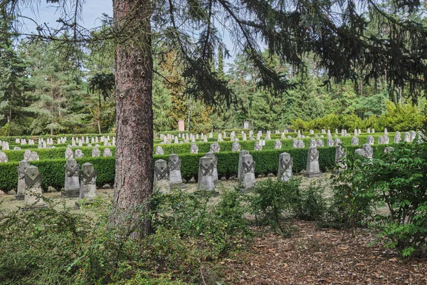 Augusti 2022 Dresden Tyskland Sovjetiska Garnisonskyrkogården Världskrigets Kyrkogård — Stockfoto