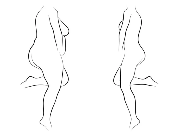 지방과 여자와 다이어트 실루엣 — 스톡 벡터