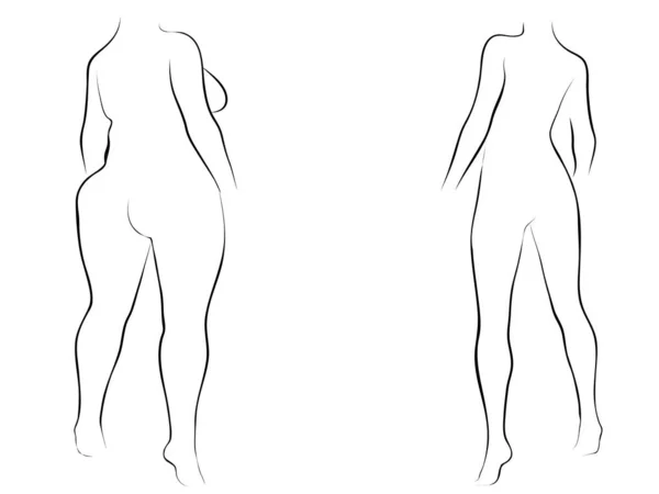 Kavramsal Şişman Kadın Zayıfa Karşı Zayıflık Kilo Verdikten Sonra Sağlıklı — Stok fotoğraf