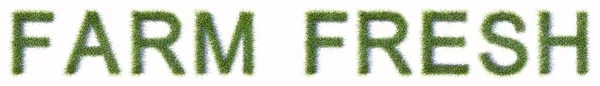 Conceito Grama Gramado Verde Conceitual Formando Texto Farm Fresh Isolado — Fotografia de Stock
