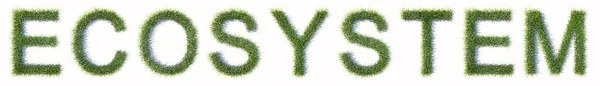 Koncepcja Lub Konceptualny Zielony Trawnik Tworzący Tekst Ecosystem Izolowany Białym — Zdjęcie stockowe