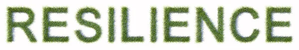 概念または概念的な緑の芝生の芝生の単語の弾力性を形成する白い背景に隔離された 耐久性 適応性 環境と自然のための3Dイラストメタファー — ストック写真