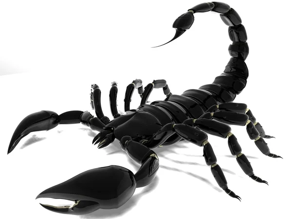 Black scorpion — Stockfoto