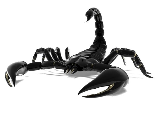 Чёрный скорпион
