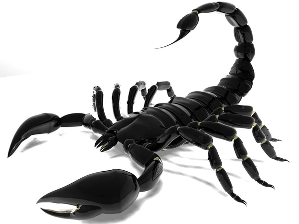 Fekete Skorpió Stock Kép