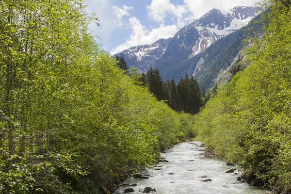 Small mountain stream — Stock Photo, Image