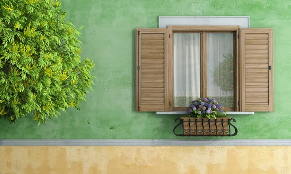 Vieille maison avec arbre et pot de fleurs — Photo