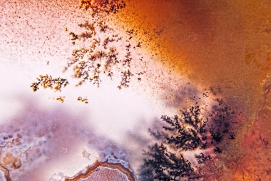 yosun akik kırmızı