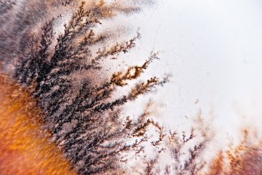 dendrite kristalleri makro