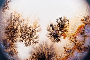 dendrite kristalleri makro