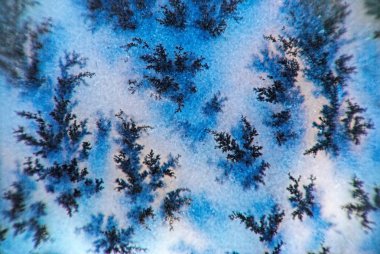 dendrite kristalleri makro