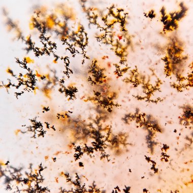 dendrite kristalleri makro