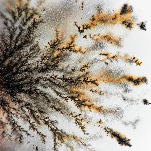 Dendrite crystals — Stock Photo, Image