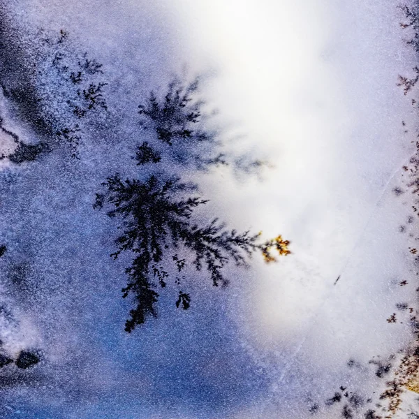 Cristallo di agata muschio — Foto Stock