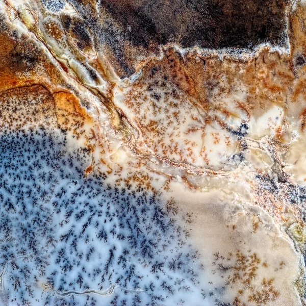 Moss Agate spotted — Stock Photo, Image