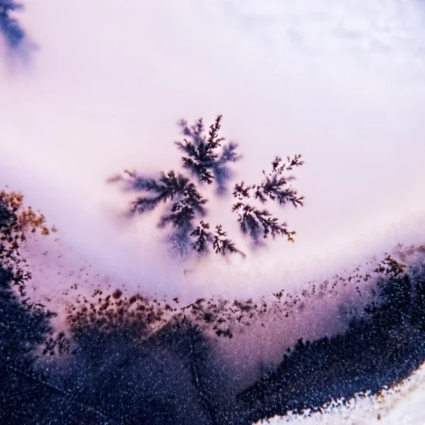 Dendrite crystals abstract — Stock Photo, Image