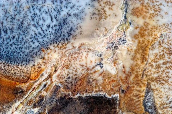 Moss Agate spotted — Stock Photo, Image