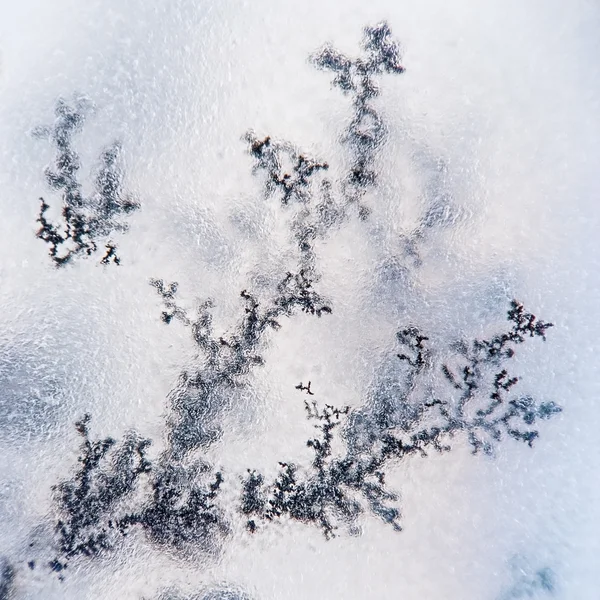 Dendrite crystals macro — Stock Photo, Image