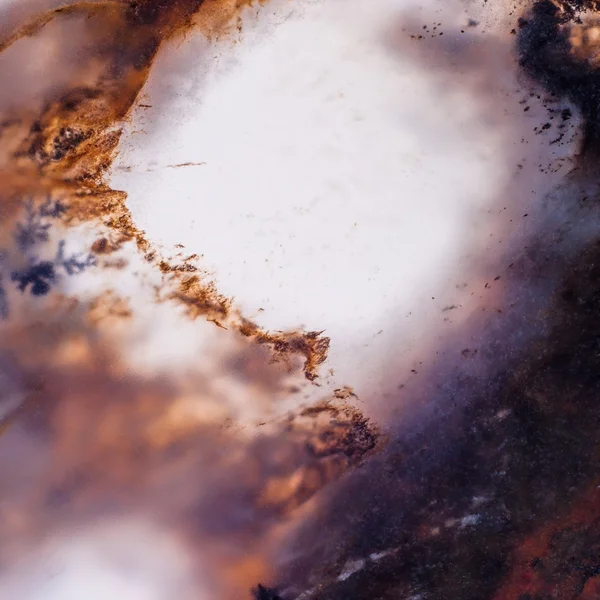 Moss Agate abstract — Stock Photo, Image