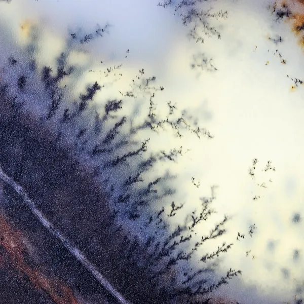 Moss Agate bush — Stock Photo, Image