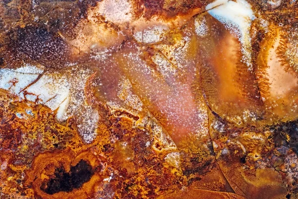 Абстрактный макрос Мосса Агата — стоковое фото