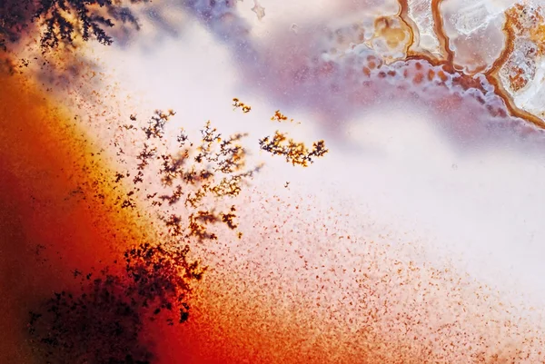 苔藓玛瑙红 — 图库照片