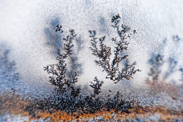 Dendrite krystaly makro — Stockfoto