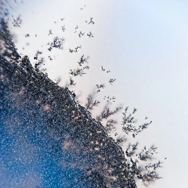 Dendrite crystals macro — Stock Photo, Image