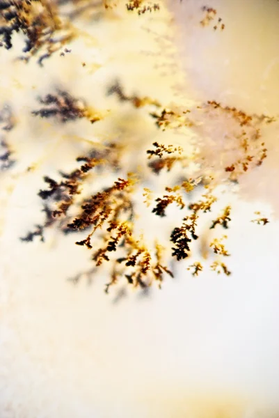 Кристаллы дендрита — стоковое фото
