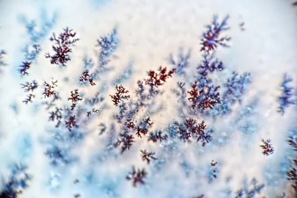 Dendrite crystals macro — Stock Photo, Image