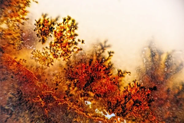 Dendritenkristalle — Stockfoto