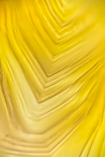 Yellow agate — Stock Photo, Image