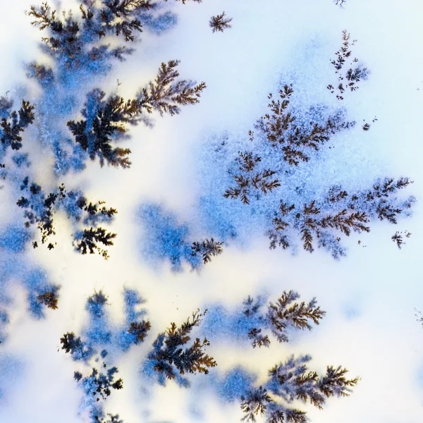 Dendrite crystals macro — Stock Photo, Image