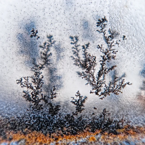 Dendrite crystals macro — Stock Photo, Image