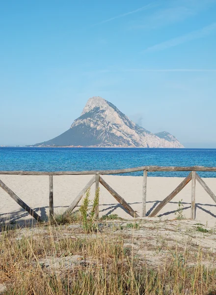 SARDINIE — Stock fotografie