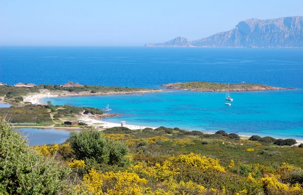 Paysage marin en Sardaigne Photos De Stock Libres De Droits