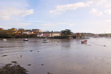 kinsale (mantar - irlanda)