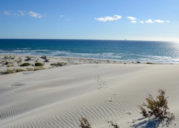 Белый песок и дюны — стоковое фото