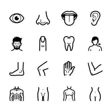 Human Anatomy icons with White Background