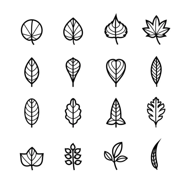 Icônes Feuilles Pour Motif Avec Fond Blanc — Image vectorielle