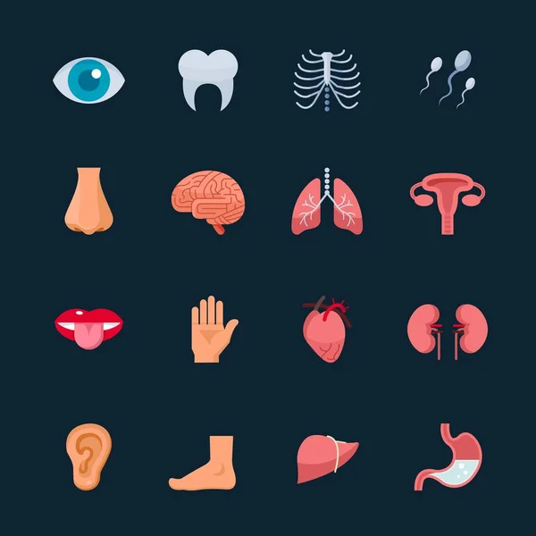 Siyah Arkaplan ile İnsan Anatomisi ve İç Organ Simgeleri