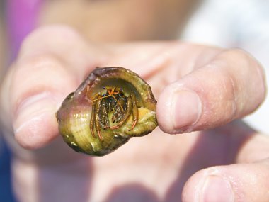 erkekte kanser keşiş