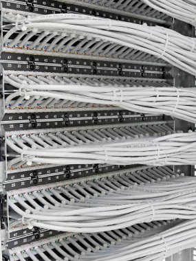 schakelkast met patch panel van de 6de categorie