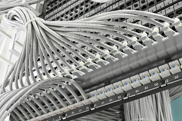 schakelkast met patch panel van de 6de categorie