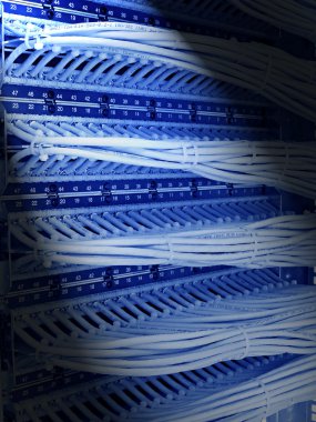 Kabin 6 kategori, mavi tonu patch panel ve kontrol