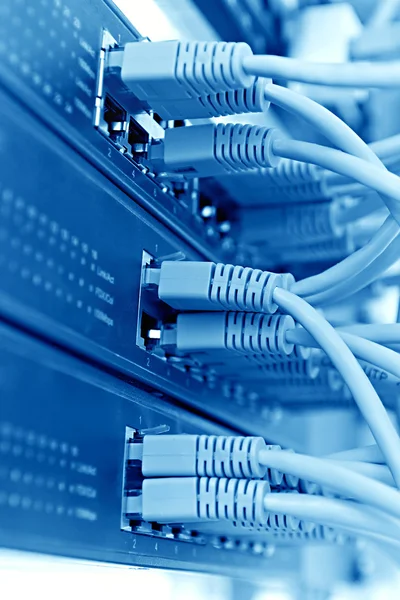 kordonlar, mavi tonu ile yama paneli server kabin