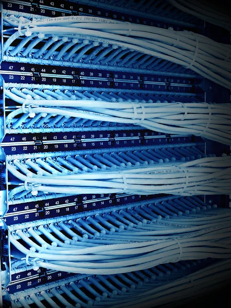 Schakelkast met patch panel van de 6de categorie, blauwe Toon, — Stockfoto